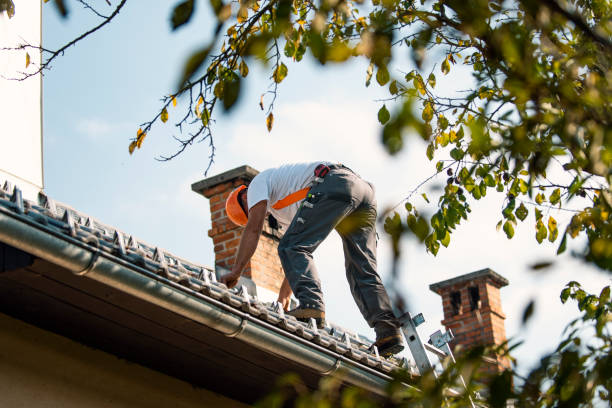 Best Metal Roofing Installation  in Hustisford, WI